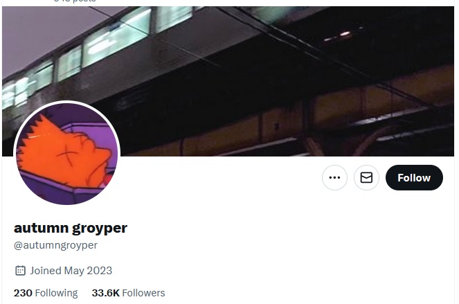 Nick Fuentes Autumn Groyper Twitter Account